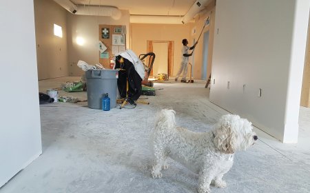 Explore 2024's Home Remodeling Trends