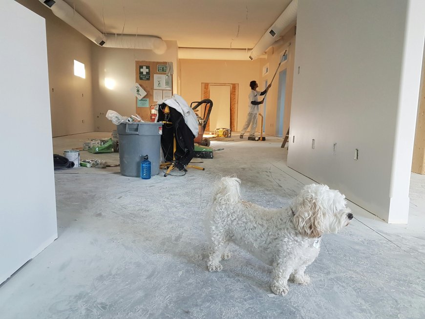 Explore 2024's Home Remodeling Trends