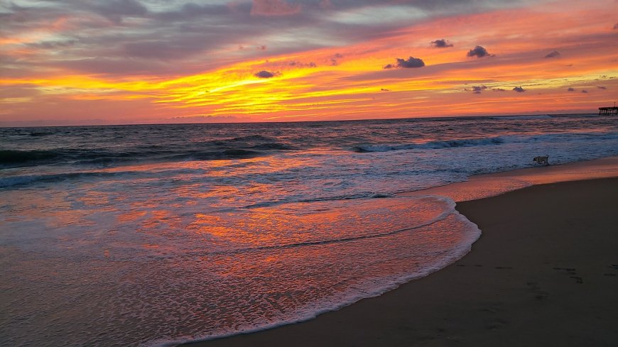 Discover Over 2250 Outer Banks Rentals Now: Save 70% on Last-Minute Deals