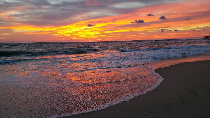 Discovering Outer Banks: Location, Benefits, and Tips for Finding Discounts