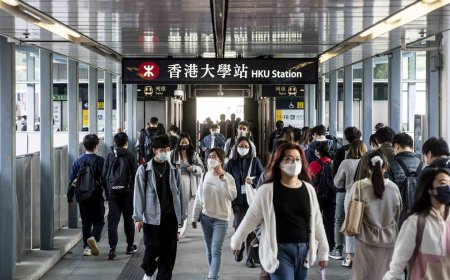 2024碩士（Master Degree）課程更新指南: 本地研究生學費豁免