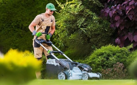 Understanding Lawn and Landscaping Services: Importance, Benefits