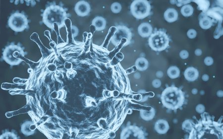 Don't Ignore These Signs of Hepatitis C! Here's What Need You to Know.