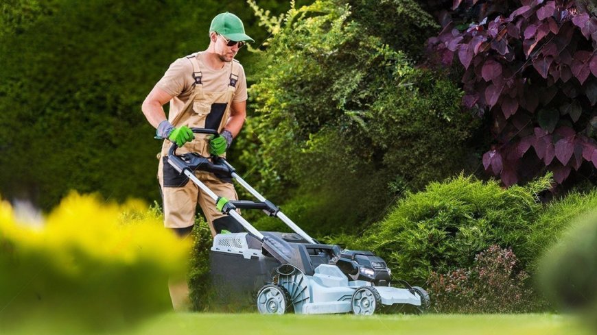Understanding Lawn and Landscaping Services: Importance, Benefits
